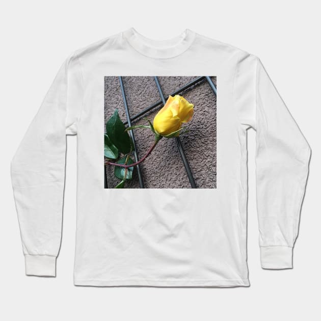 Yellow Rose On The Wall Long Sleeve T-Shirt by DesignMore21